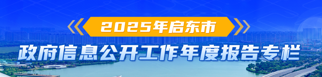 2025年启东市政府信息公...