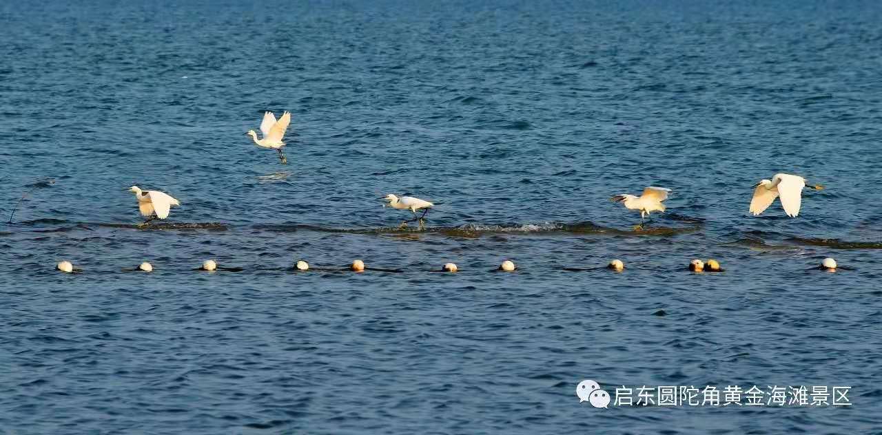 微信图片_20191225094818.jpg