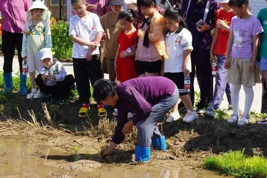 微信图片_20230629143256.jpg